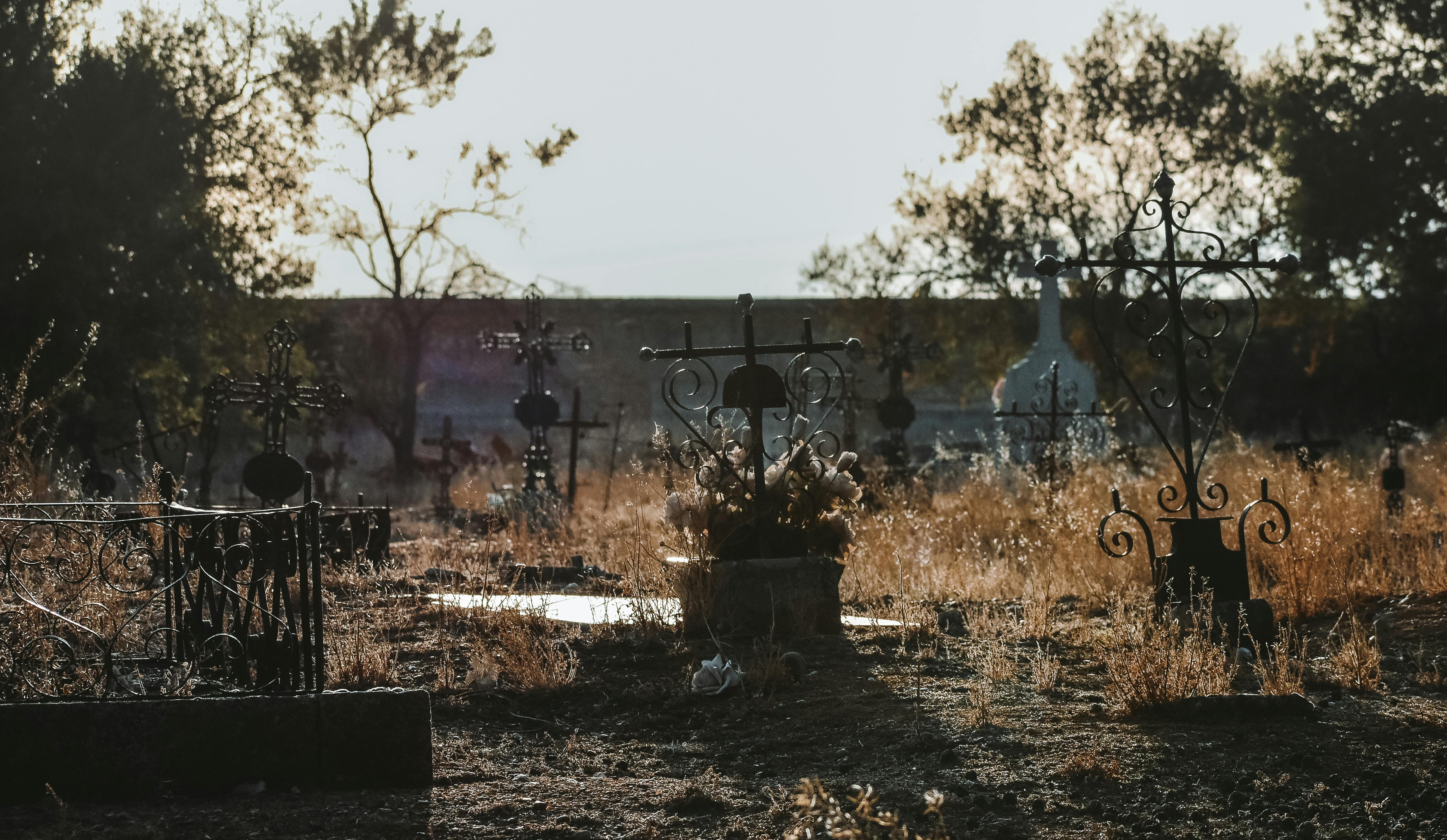 graveyard cinematic dramatic aesthetic dark creepy eerie weird strange by vtopia x dark nikky collection