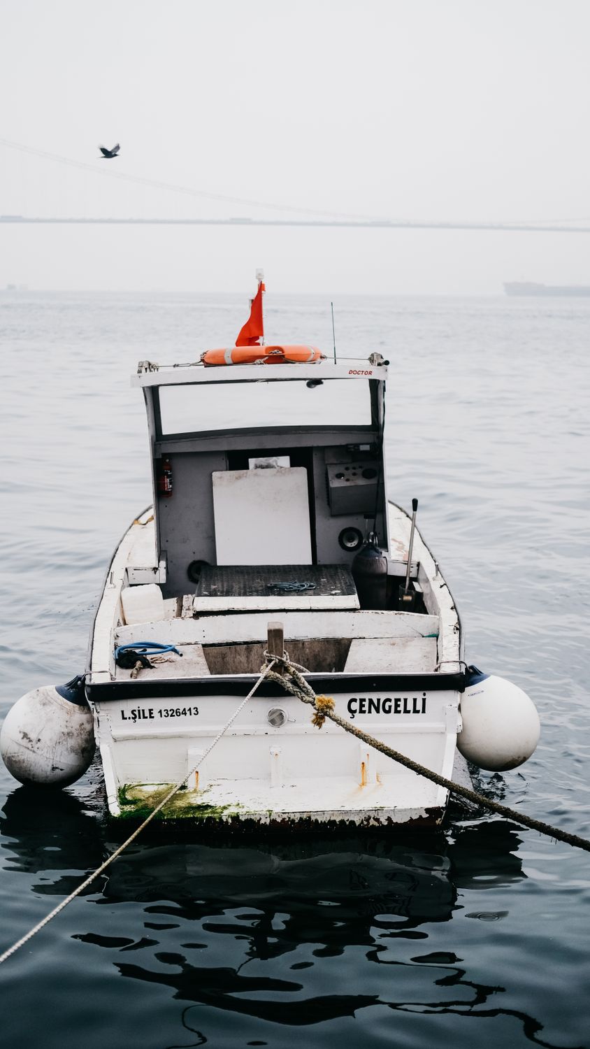 Back View of Moored Motorboat · Free Stock Photo