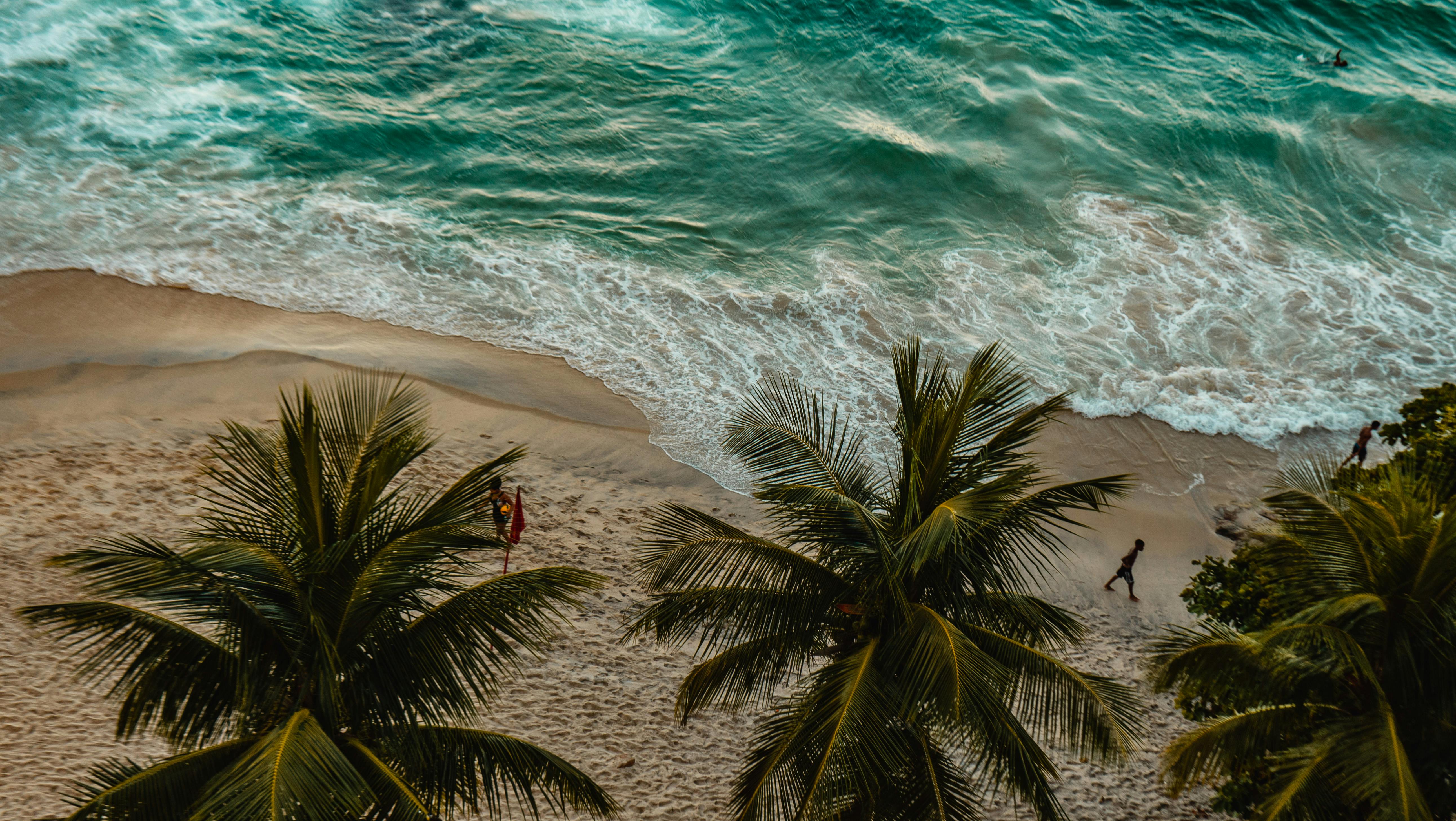 Aerial view of a beautiful beach in Rio de Janeiro with palm trees and turquoise waves.