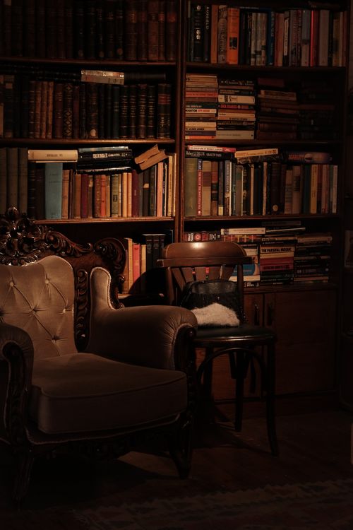 Free A dimly lit cozy reading nook featuring a vintage armchair, bookshelves, and ambient lighting. Stock Photo