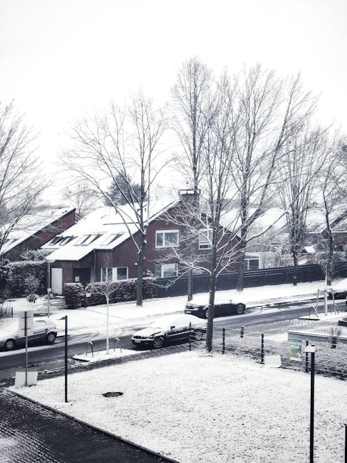 Free Snow-covered street with houses in the background Stock Photo