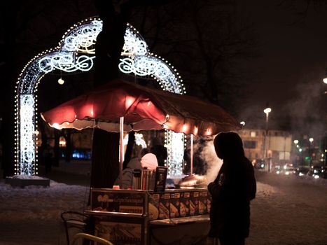 A festive night scene of a street food cart with illuminated Christmas decorations.