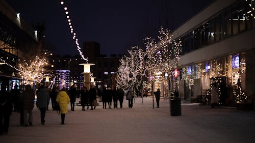 Fotos de stock gratuitas de adorno de navidad, caminando, ciudad