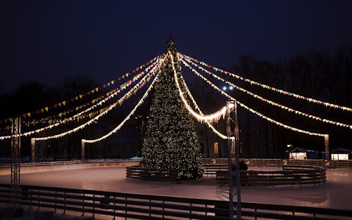 Fotos de stock gratuitas de adorno de navidad, árbol de Navidad, ciudad