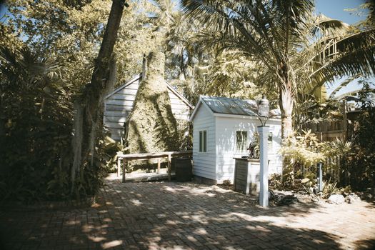 Hemingway Home near Key West