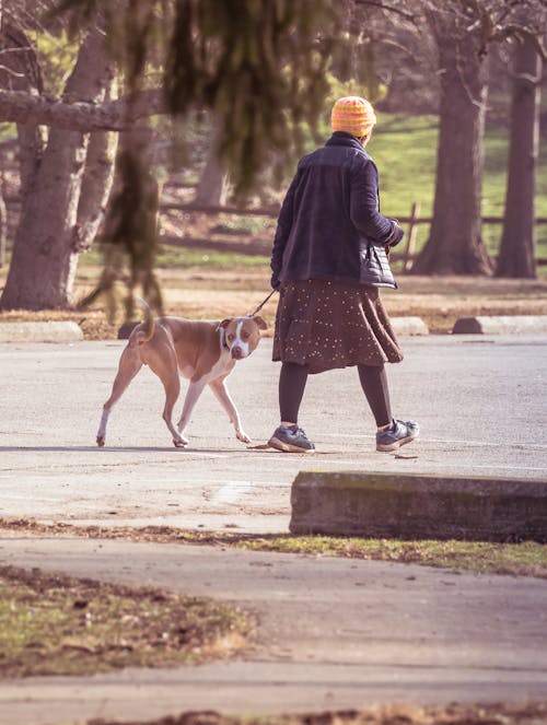 Woman Walking Dog in Park