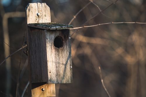 Free Close-up of a rustic wooden birdhouse on a post illuminated by sunlight in a natural setting. Stock Photo