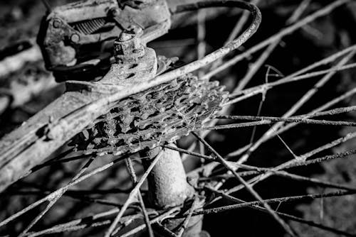 Foto d'estoc gratuïta de bici, blanc i negre, brut