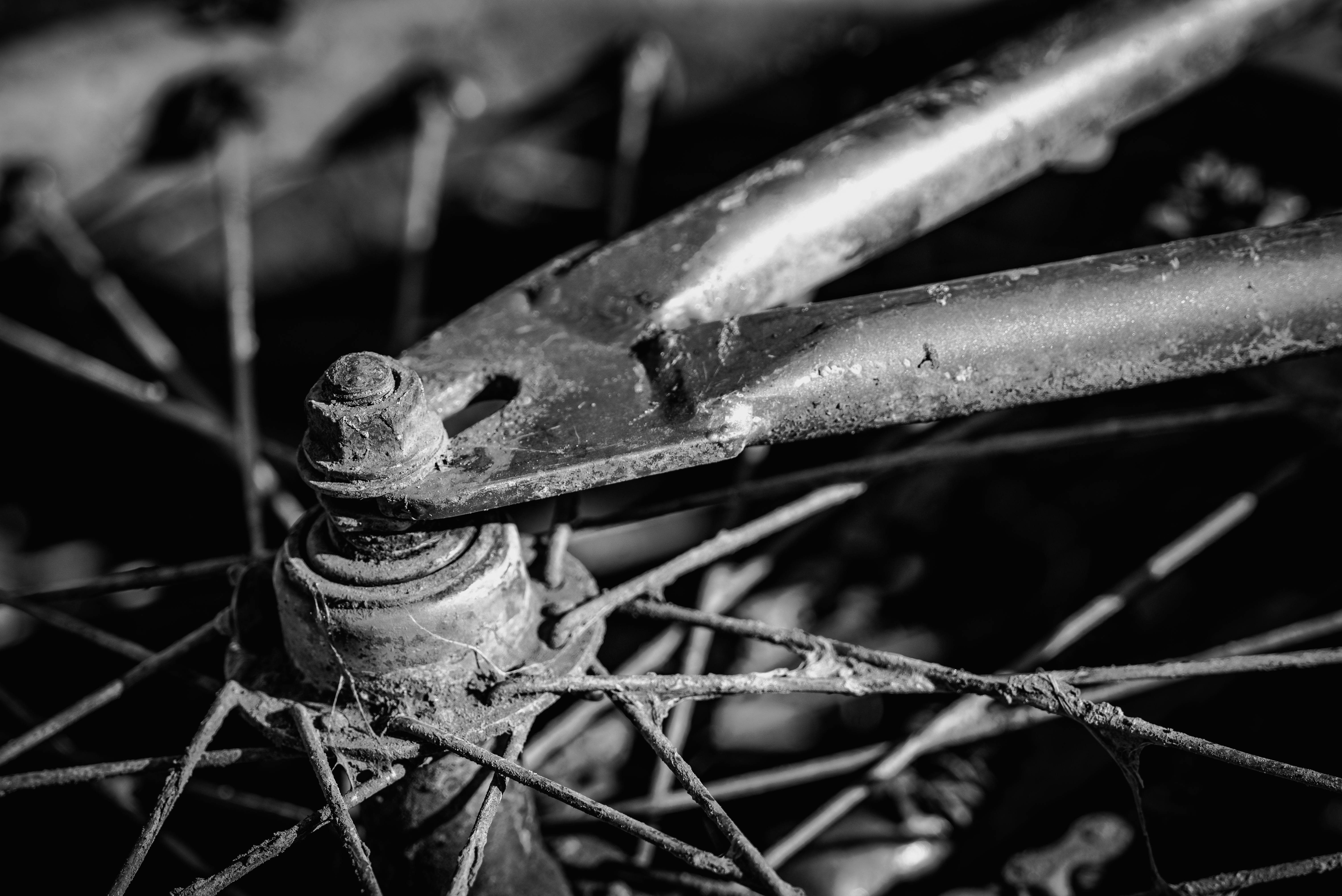 Grayscale Photography of Bicycle · Free Stock Photo