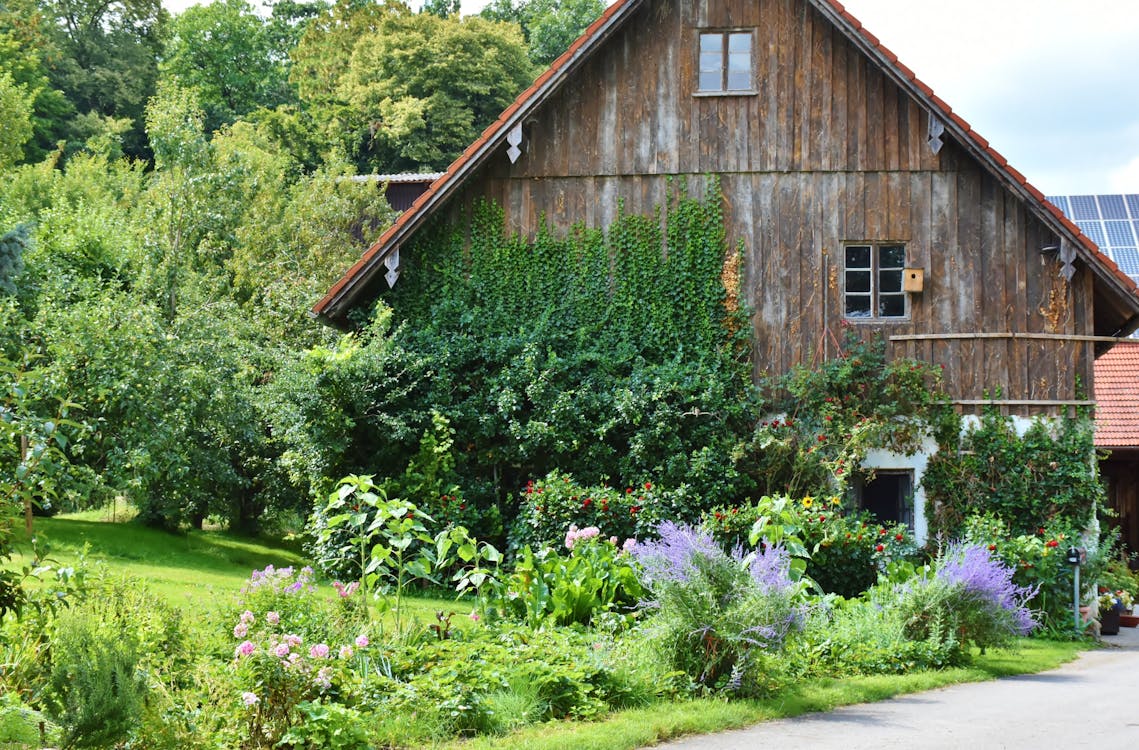 Free Brown Wooden House Beside Green Trees during Daytime Stock Photo