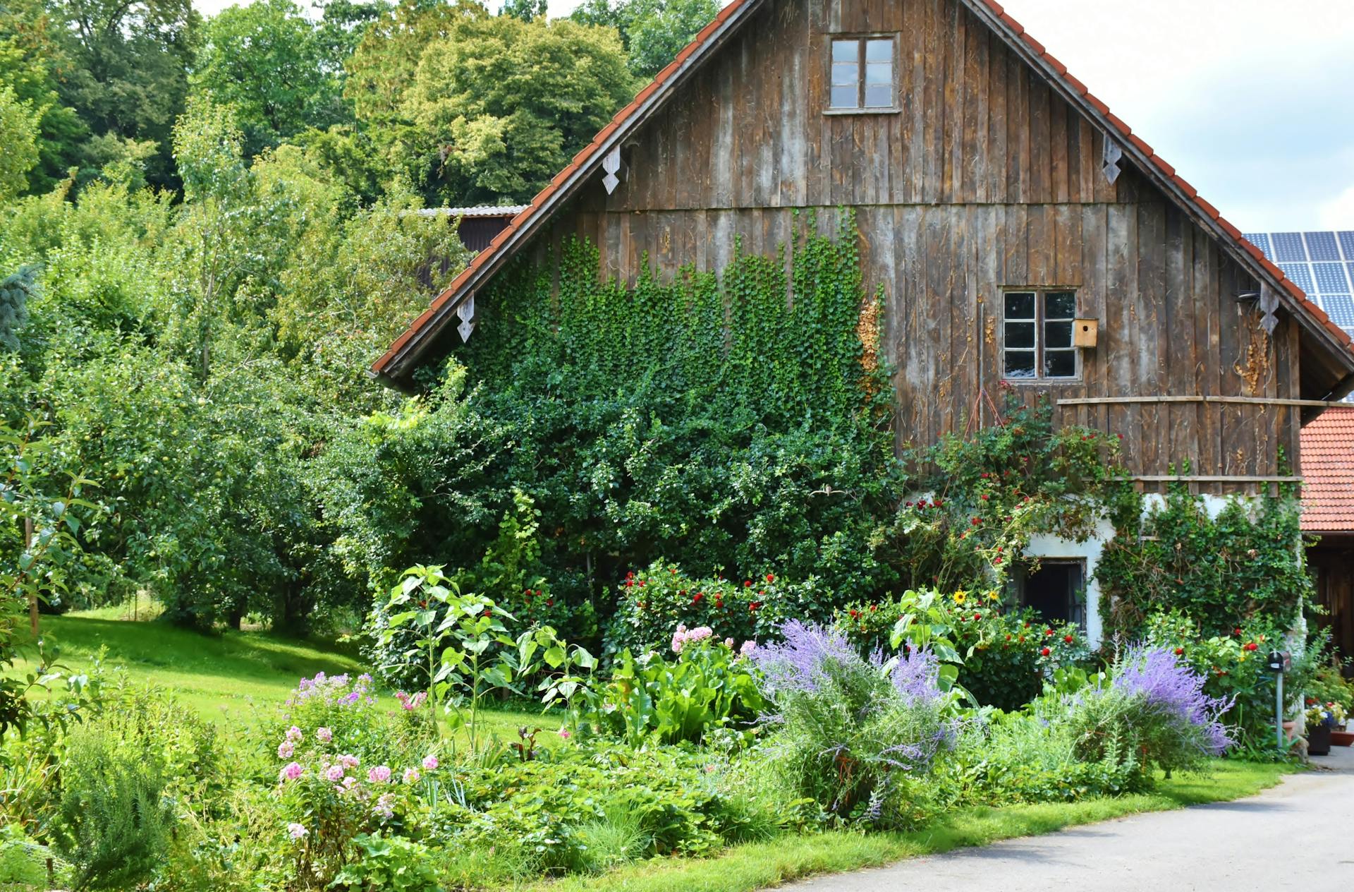 A rustic farmhouse adorned with lush greenery and vibrant flowers on a sunny day.