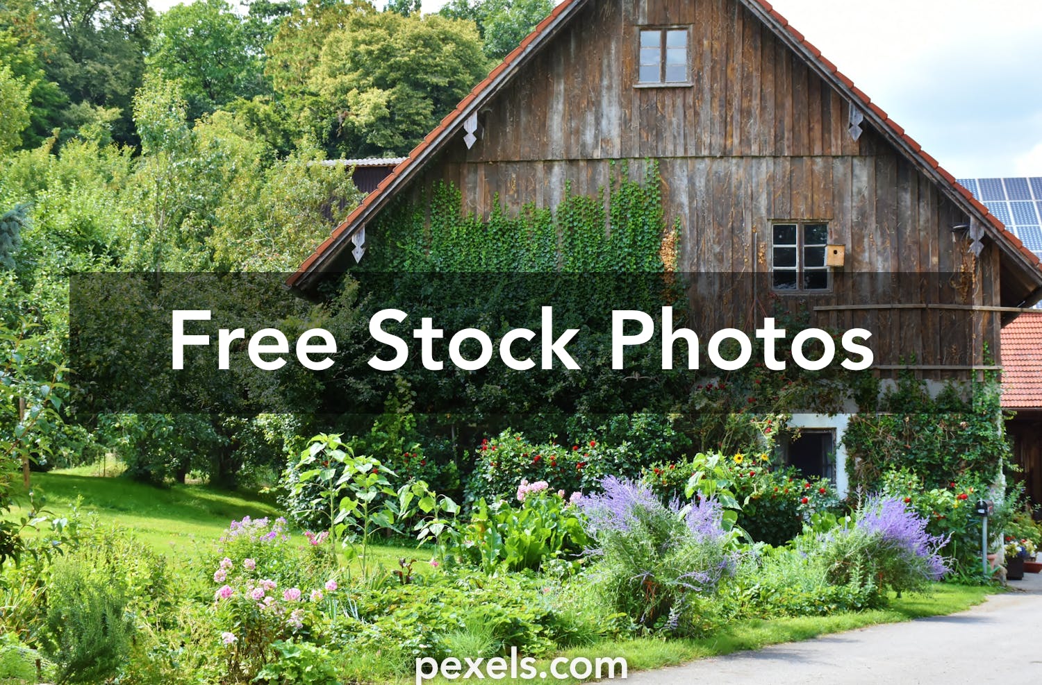 1000 Amazing Farm  Yard Photos Pexels   Free Stock Photos
