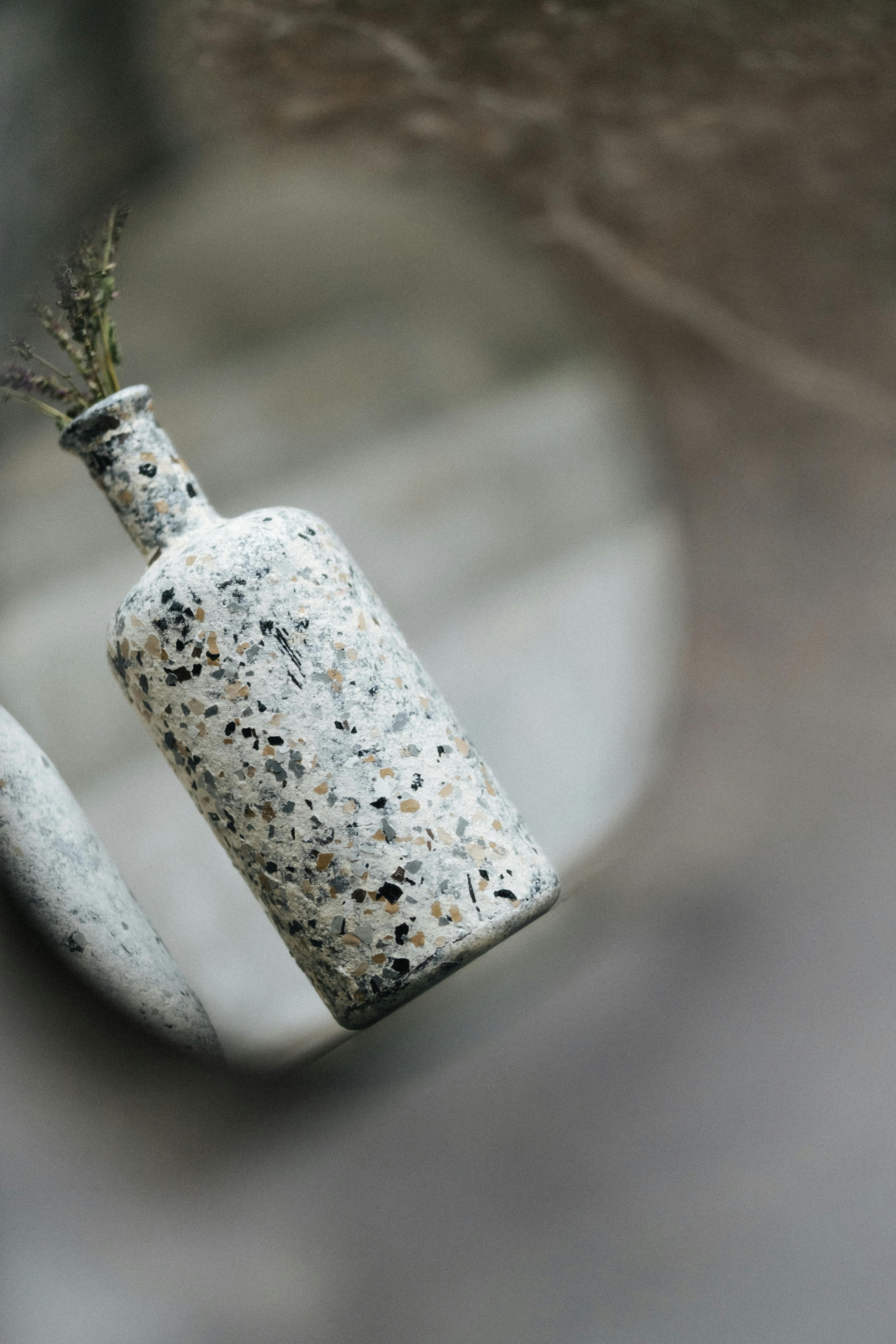 Vase with Plant Reflection in Mirror · Free Stock Photo