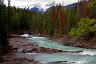 白雪皑皑的山脉为背景，河流流经郁郁葱葱的森林