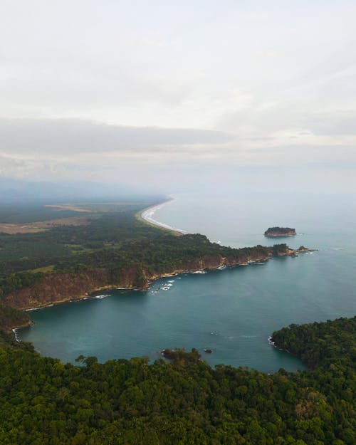 Bay on Sea Coast with Forest around