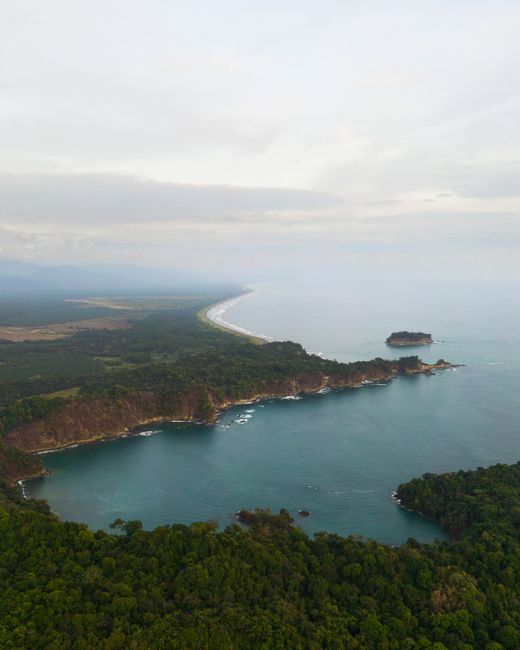 Stunning aerial shot of a verdant coastline and calm sea, ideal for nature visuals.