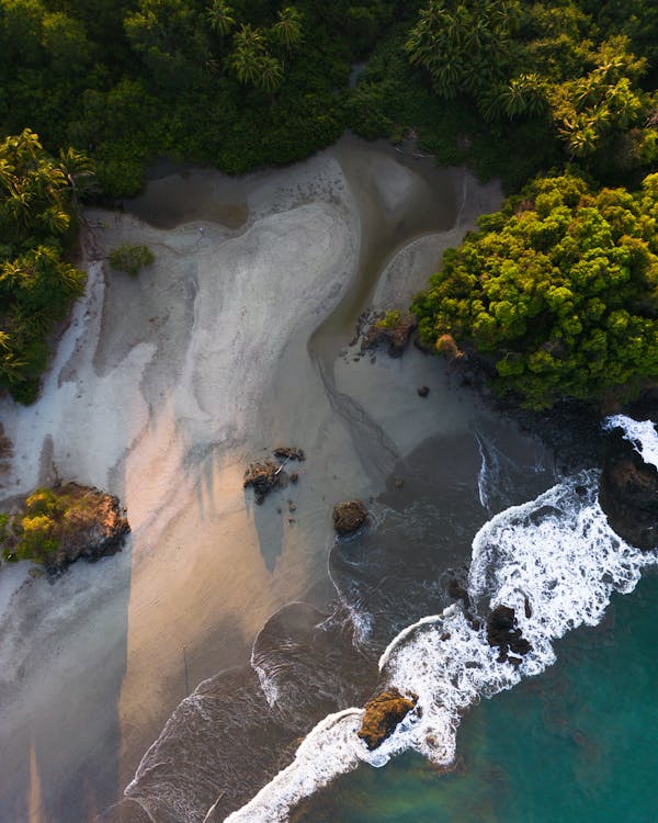 Aerial View of a Beach 