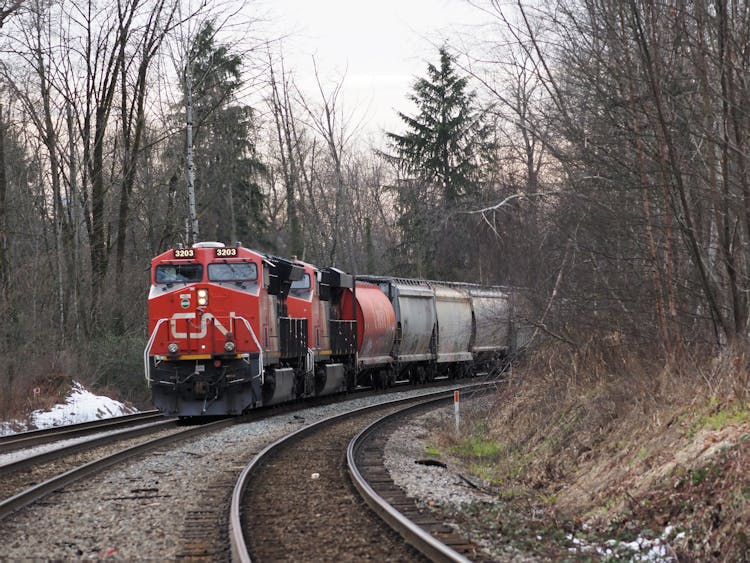 Freight Train Going Through The Forest