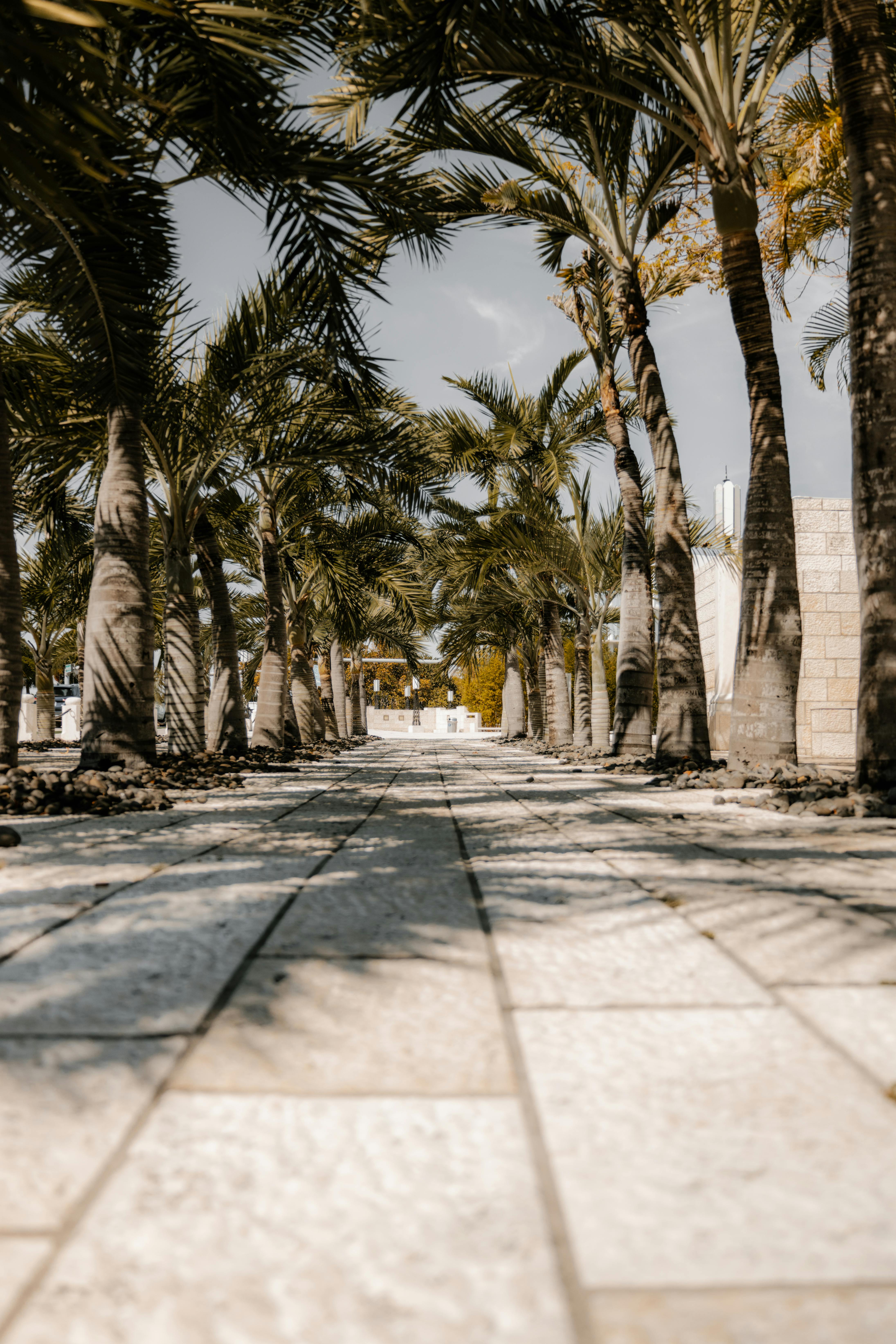 Florida thrifting adventure