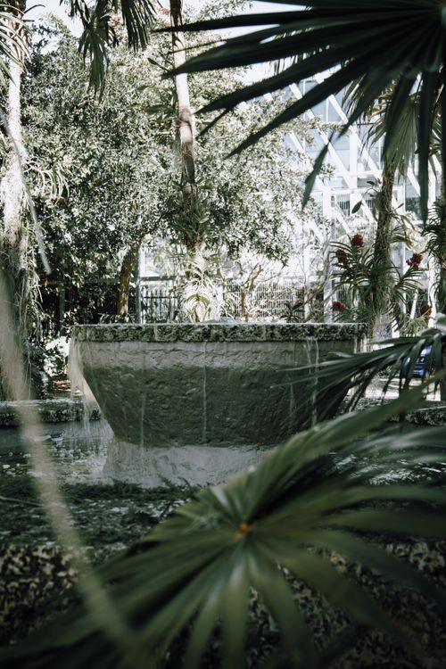 Free A serene fountain amidst tropical greenery in a Miami park, showcasing abundant nature. Stock Photo