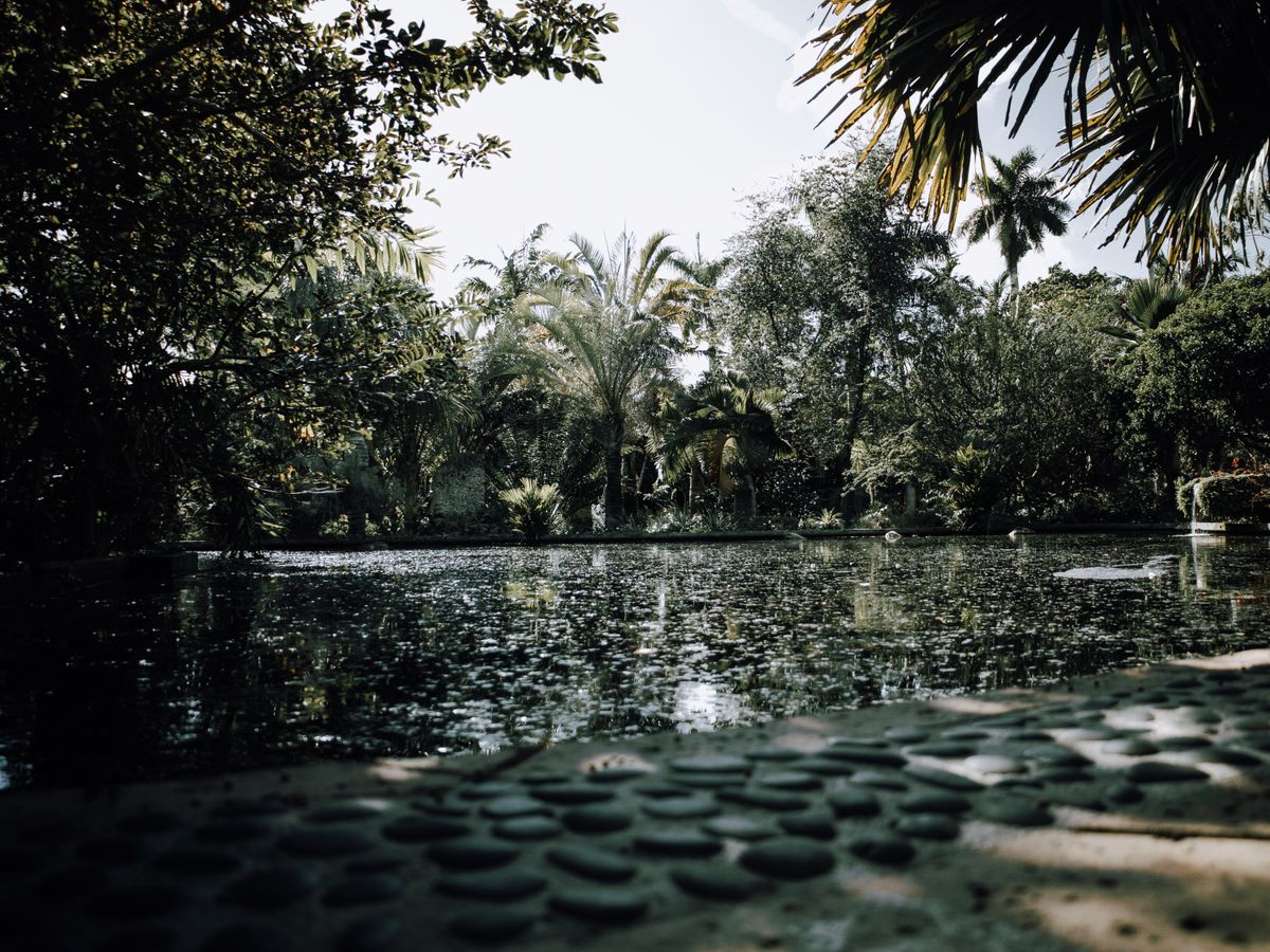 Nature Delivered Wellness Sanctuary 3