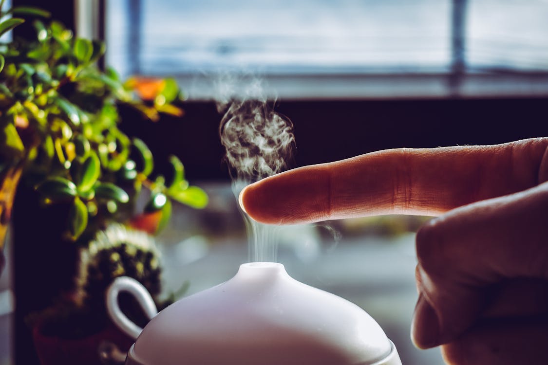 Must Try Diffuser Blends: Essential Oils for Calming and Soothing
