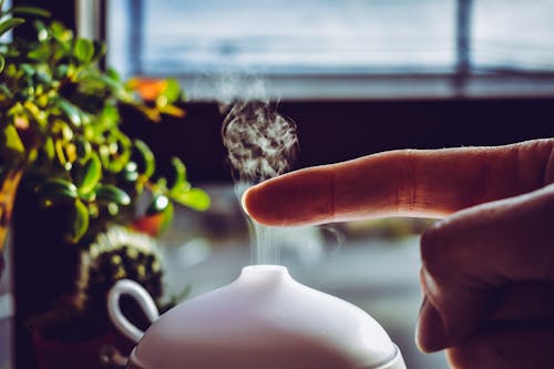 Should You Use A Humidifier This Winter To Improve Comfort Levels?