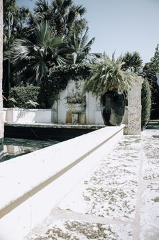 Serene sunlit garden with palm trees and tropical plants, showcasing a tranquil outdoor escape.