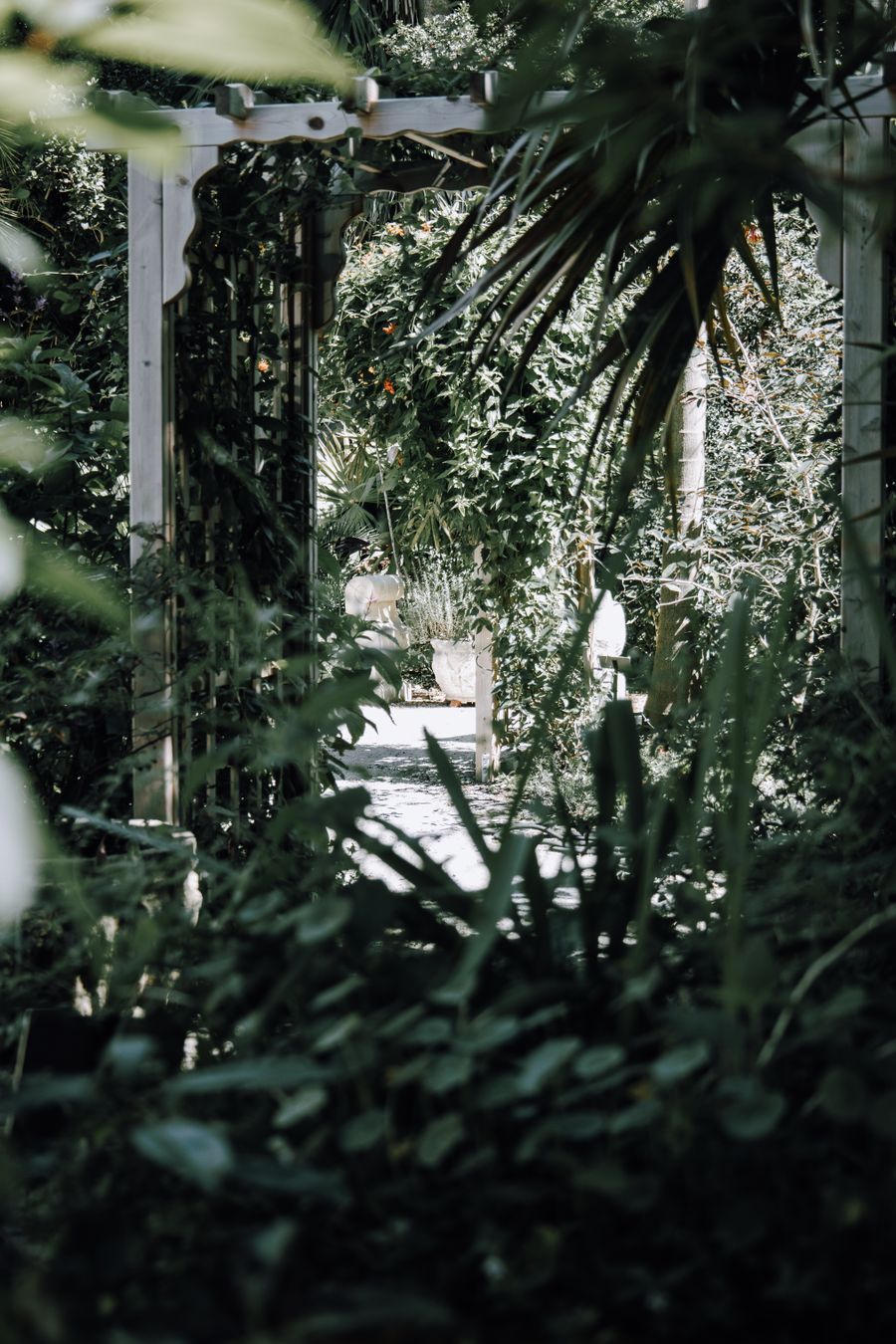 Green garden pathway with dense planting and a natural reset feel