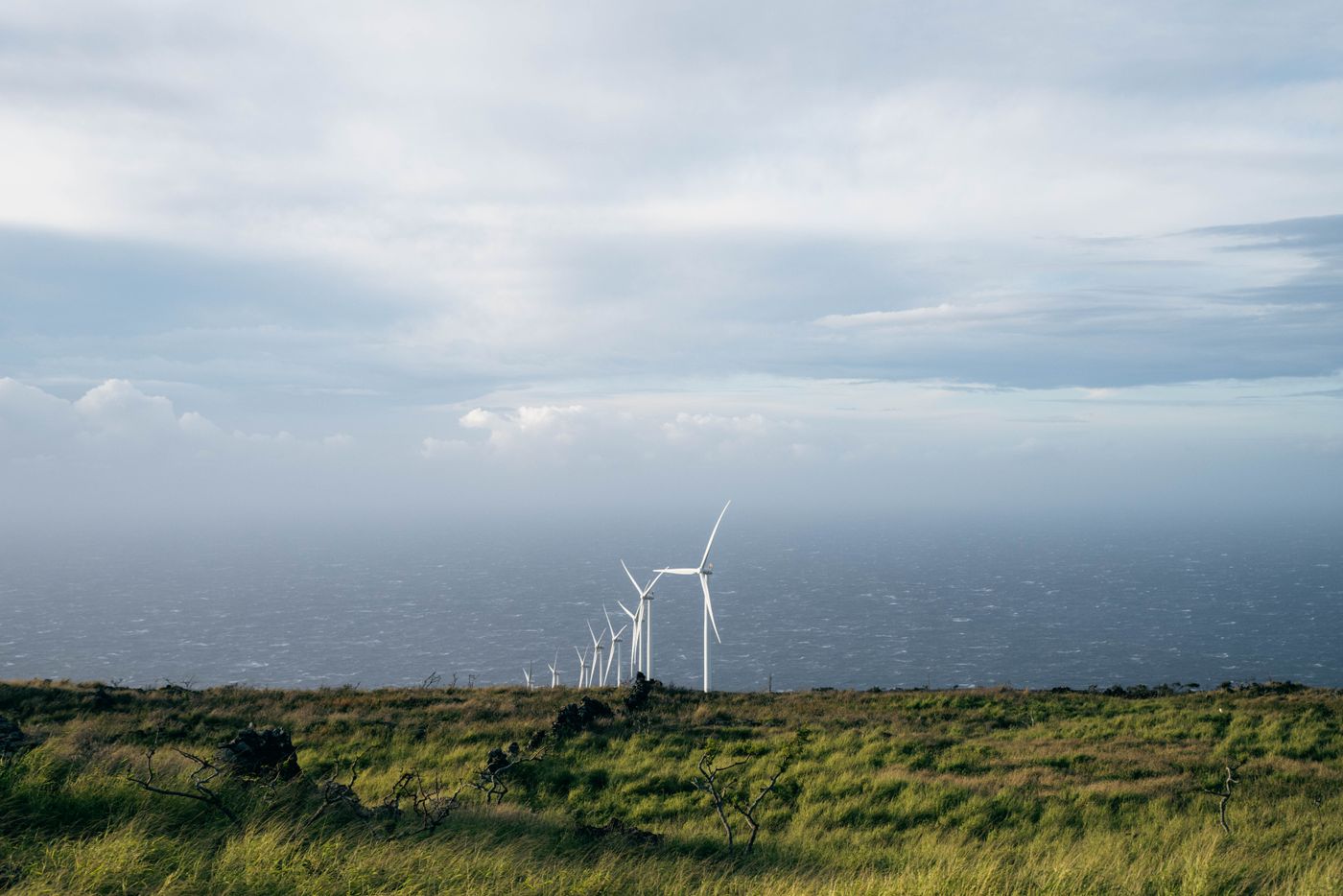 A serene landscape of wind turbines on a grassland by the ocean, showcasing renewable energy.