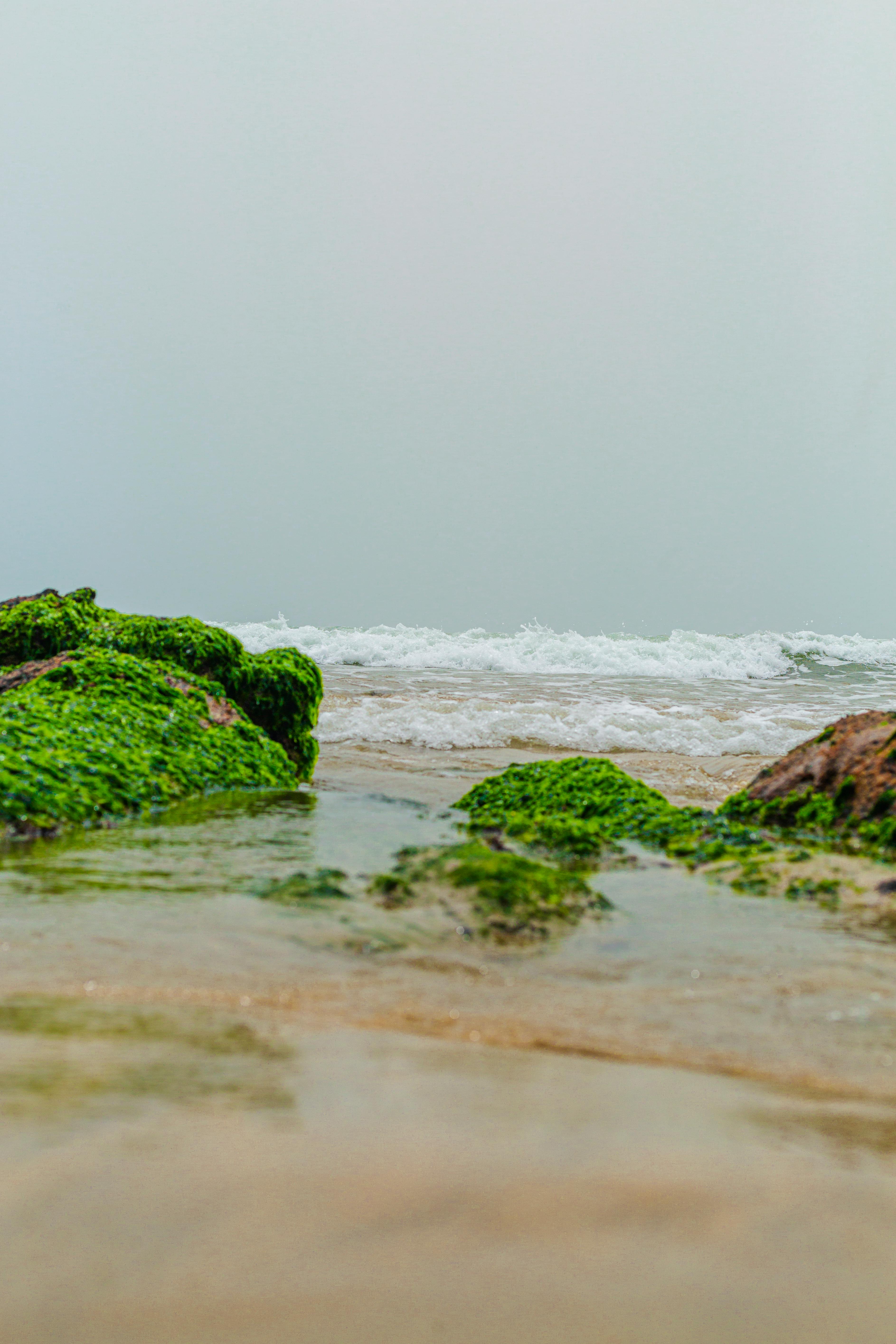 100.000+ melhores imagens de Papel De Parede 4k · Download 100% grátis ·  Fotos profissionais do Pexels