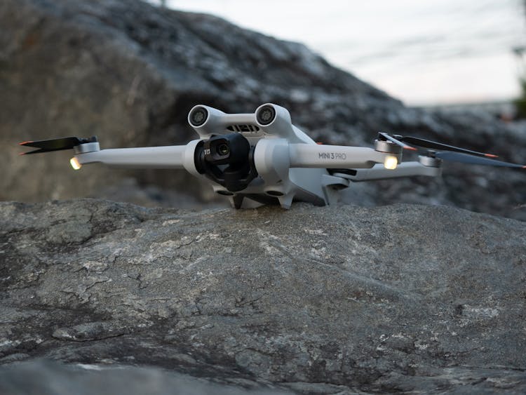 Close-up Of Drone On Rock