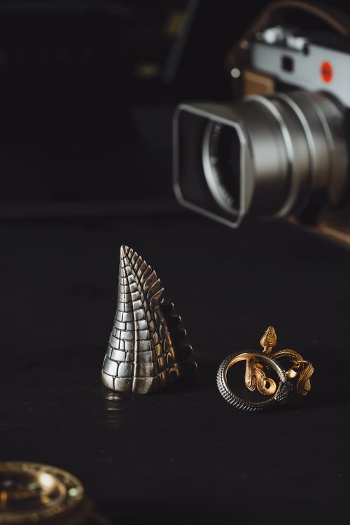 Free Close-up view of a dragon-snake ring and camera on a black background. Stock Photo