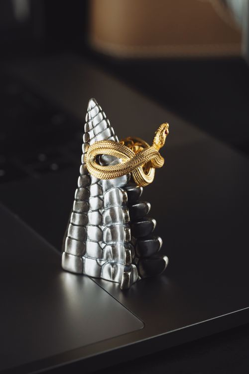 Free Close-up of a golden snake ring on a silver dragon tail accessory placed on a laptop. Stock Photo