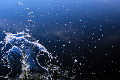 Free Water Splash  Stock Photo