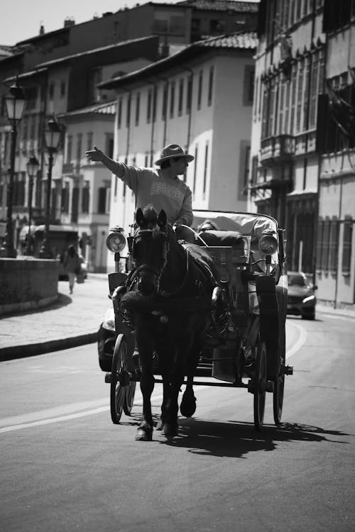 Immagine gratuita di carrozza, cavallo, città