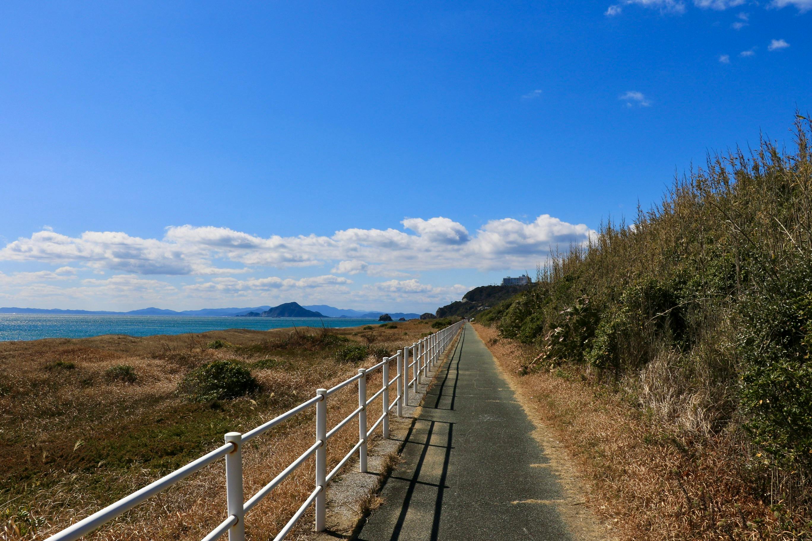 road with fence in countryside near seashore