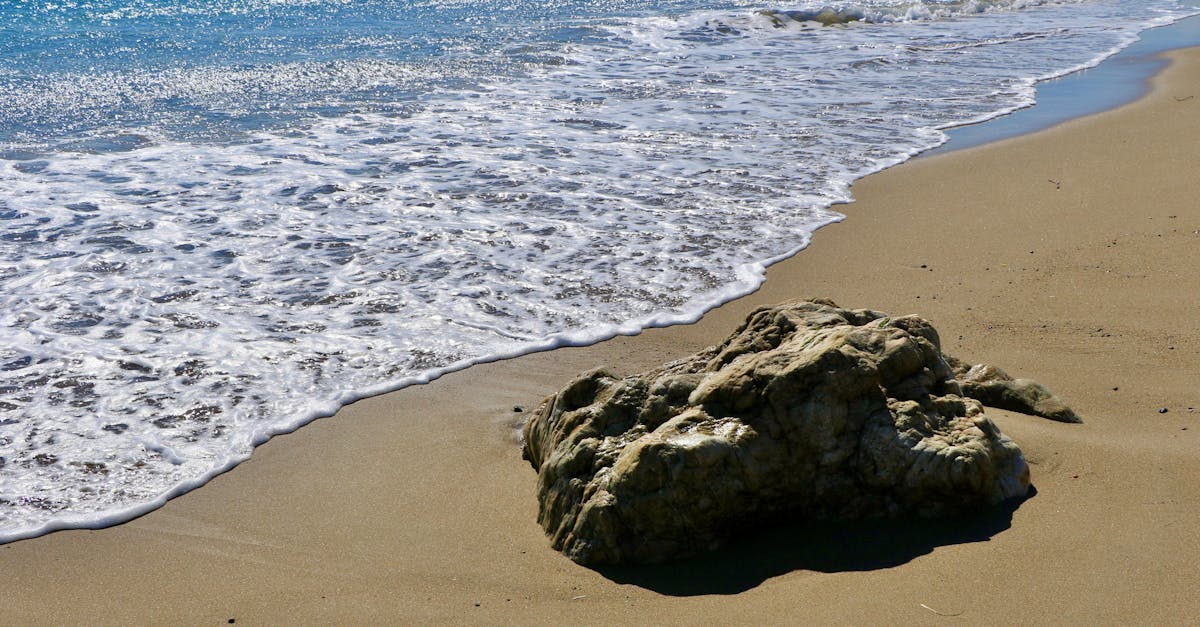 Large Rock Washed Ashore · Free Stock Photo