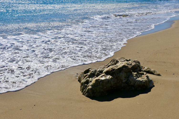 Large Rock Washed Ashore