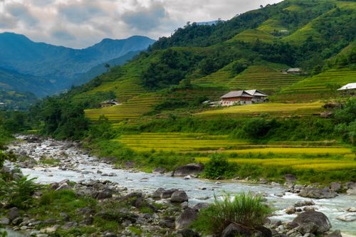 Free Beautiful rural landscape with green rice terraces, houses, and a flowing stream in a mountainous region. Stock Photo
