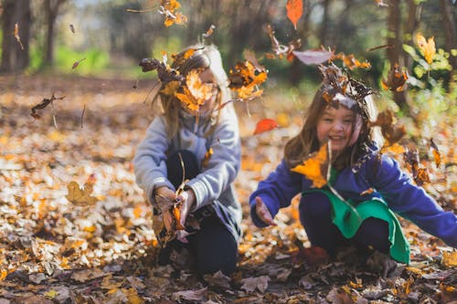 乾燥した葉で遊ぶ子供たちの写真