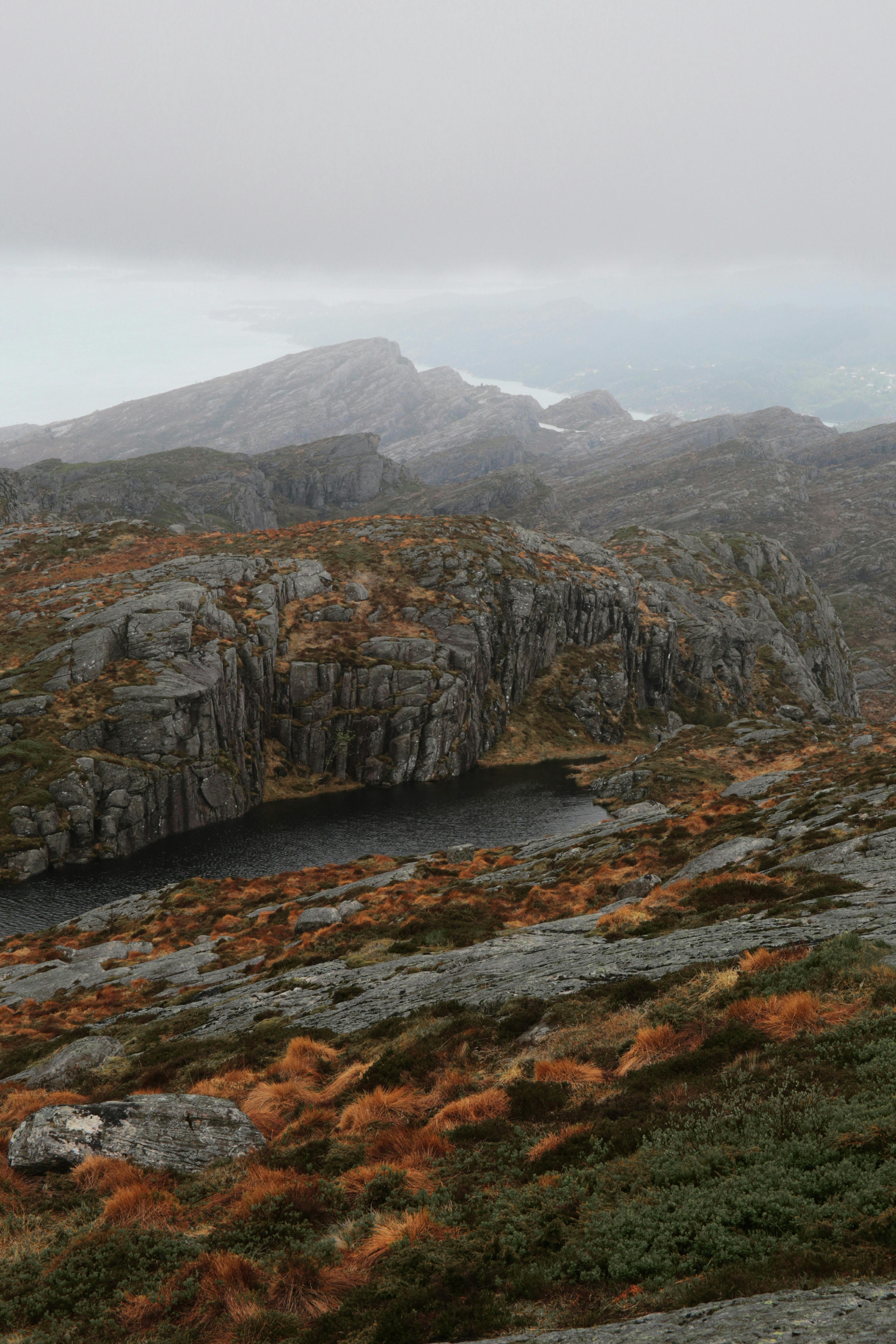 Serene misty mountain landscape featuring rugged rocks and autumn foliage under a foggy sky.