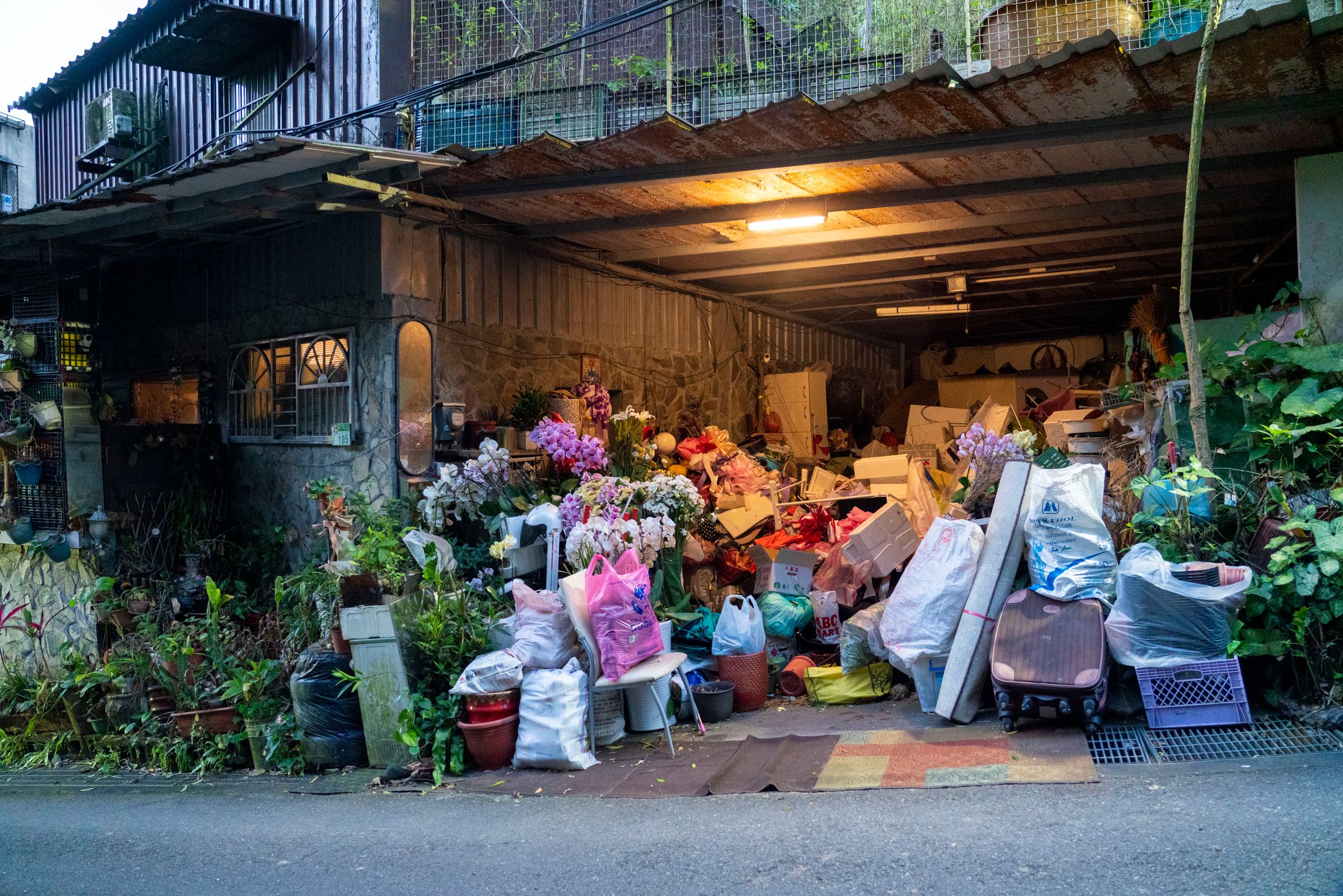 Garage filled with household items, plants, and clutter overflowing onto the driveway