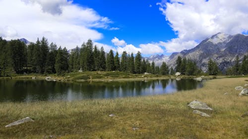 Foto d'estoc gratuïta de canons, corrent, dolomites