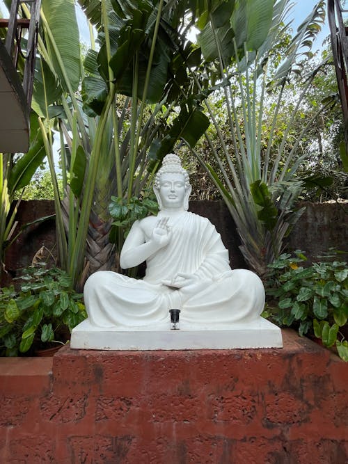 Fotobanka s bezplatnými fotkami na tému Buddha, budhizmus, náboženstvo