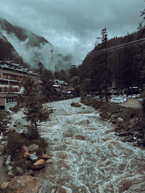 Photos gratuites de fleuve, flot, froid