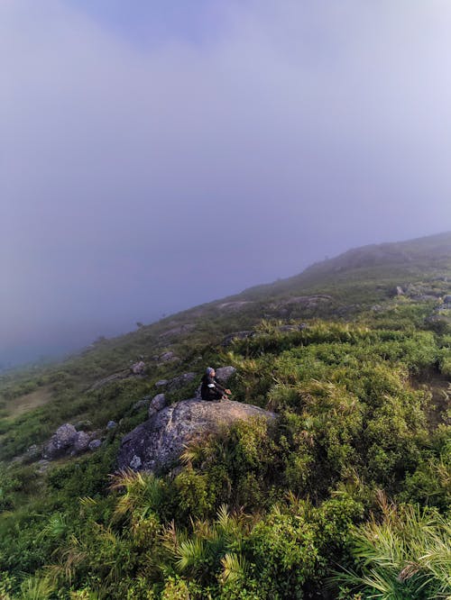 Kostnadsfri bild av berg, dimma, gräs