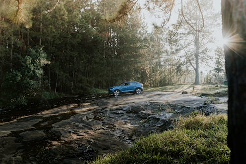 Blue SUV Driving on a Dirt Road in a Forest