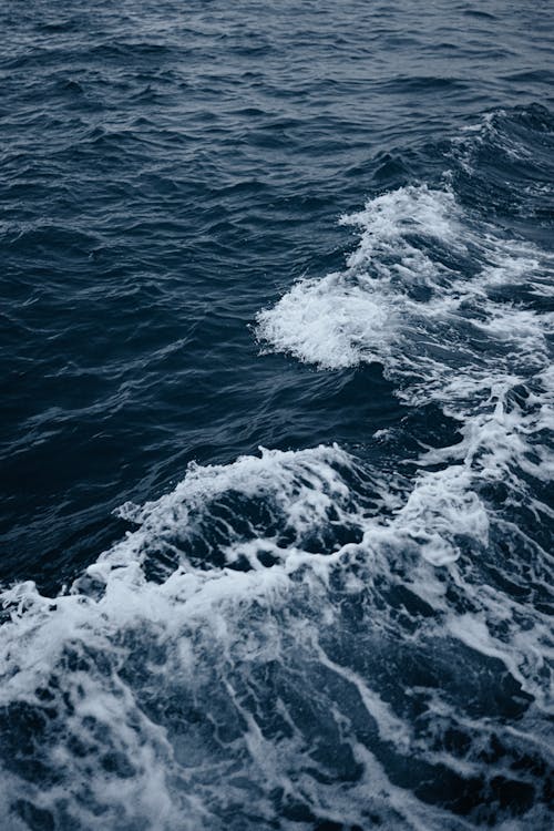 Gratis lagerfoto af blåt vand, bølger, hav