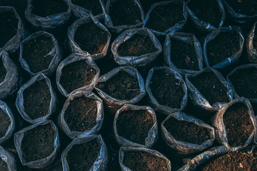 Top view of soil-filled bags arranged for planting in Chilmari, Bangladesh.